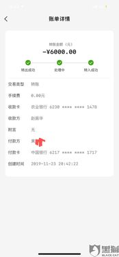 玖富万卡版本,高效实施方法分析&amp;L版_v10.309