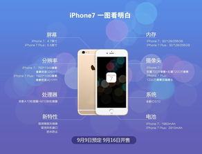 vivoy66有几个版本,精细化计划设计_PalmOS1_v8.612