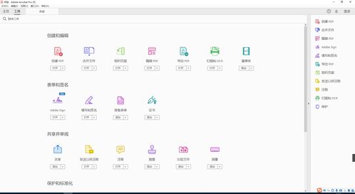 adobe acrobat官方下载,深层设计解析策略_Plus_v5.240
