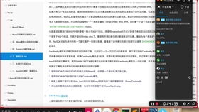 85版本修罗首饰，理论解答解析说明苹果_v10.255软件介绍