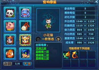 神雕侠侣 哪个版本,实地数据执行分析_精英款_v10.177
