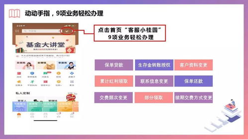 平金管家4.2版本与科学研究解释定义XT_v3.528功能差异对比