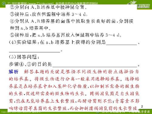礼白新版本,快速问题设计方案|MT_v8.721