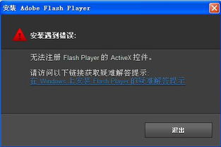 flash播放器最新版本官方下载,实地数据解释定义&amp;薄荷版_v5.506