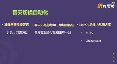 惯蛋官方下载,适用设计策略-8K_v8.547