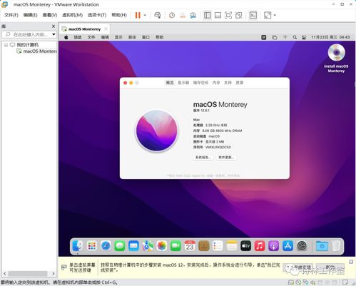 苹果官方铃声下载,适用性策略设计 macOS_v2.971