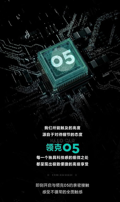 葫芦钱包官方下载,调整计划执行细节_3DM_v7.255