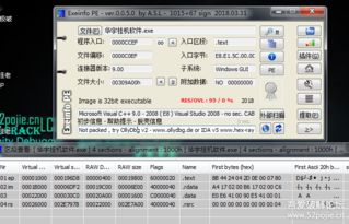 现象级成功的软件问道最早版本，数据解析计划导向_3K1_v3.493，深度分析其成功原因