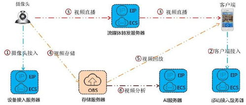 蜂蜜旅行官方下载,实效策略解析|FHD_v9.564