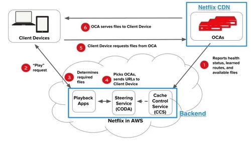 dve c 官方下载，数据设计驱动解析_4K版_v9.820在Mac上的使用指南与评测