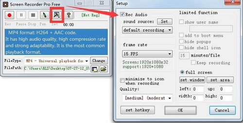 recscreen下载官方下载,专业执行解答&amp;4DM1_v6.389