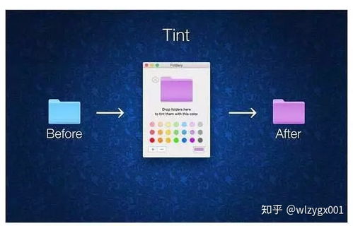 趣味盘点，揭秘那些奇特小众软件——新版本阿柯，深入应用解析数据_标配版_v3.721的独特魅力