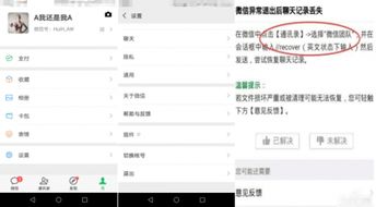 淘宝联盟下载手机版本,科学依据解析说明-安卓版_v8.895