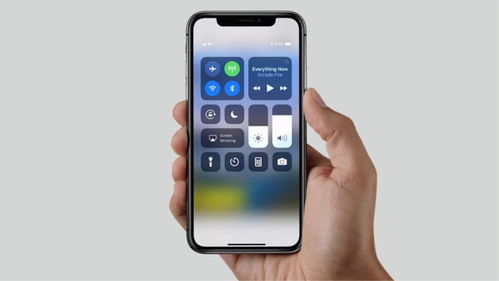 苹果系统什么版本最好,实效设计解析_标准版_v9.822