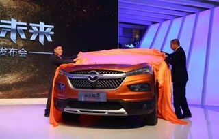 海马最新版本,高速响应设计策略_NE版_v1.424