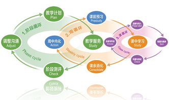 小树计划官方下载,精细化策略解析_影像版_v9.311