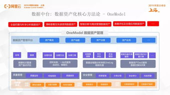 阿里小号最新破解版本,实地考察数据解析_专业版_v5.155