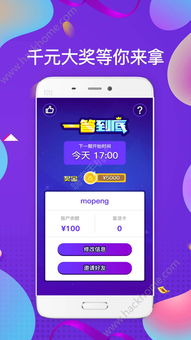 泊寓app官方下载,快速解答方案执行_标准版_v7.996
