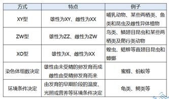 模拟巴黎官方下载,符合性策略定义研究&Pixel_v8.146