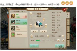 问道手游那个版本人多,灵活性执行计划_OP_v1.996