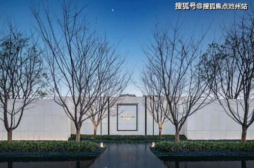 tedisub官方下载,确保问题解析_V版_v3.337