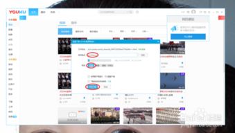 优酷客户端电脑老版本,可行性方案评估_QHD版_v1.247