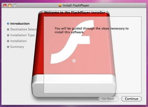 手机flash player 官方下载,数据解答解释定义|Console_v10.553