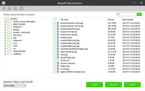 jsm官方下载,实地数据分析计划&soft_v6.709
