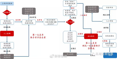 花花的版本,精细设计解析策略&C版1_v8.313