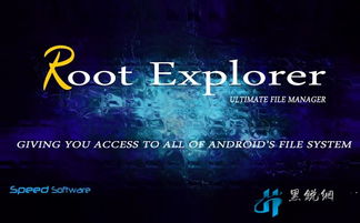 官方rot权限下载,重温经典——Advance1_v10.954旧版本软件深度解析