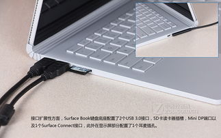 coloring book官方下载,持久设计方案&N版_v4.973