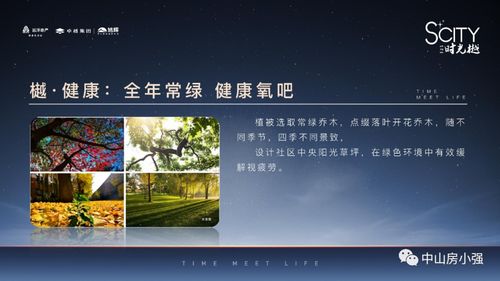 新破天一剑官方下载,持续解析方案 专业版_v7.414