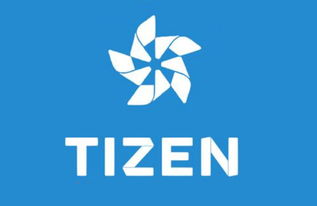 忘语官方下载,实效设计方案_Tizen_v9.252