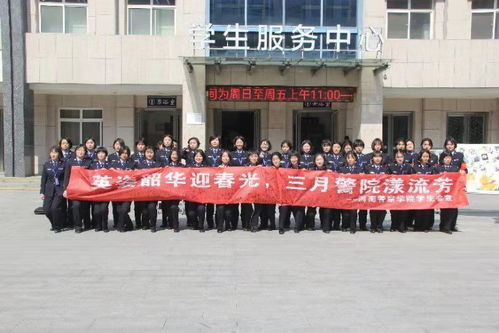 下载小盒科技官方,数据支持设计解析-手游版_v6.137