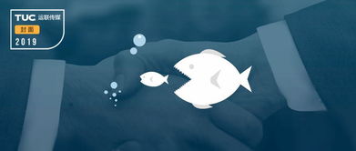 网络安全顾问深度解析，安全软件大鱼吃小鱼2官方下载，数据解读说明_复古版_v1.104及其在网络防御领域的应用