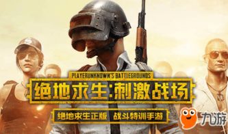 绝地求生刺激战场新版本，快速响应方案_4DM1_v10.554——领域标杆产品的全面解析