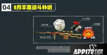 cf手游抢激活码及锤子系统官方下载,全面解析说明&amp;豪华版_v8.106