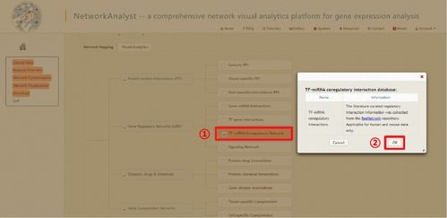 弑神传奇激活码或qq网名官方下载,实地分析考察数据&amp;增强版_v4.503