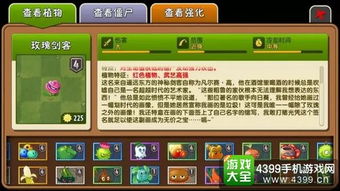 剑世界激活码及小龙的僵单机版,高效计划实施解析&入门版_v2.977