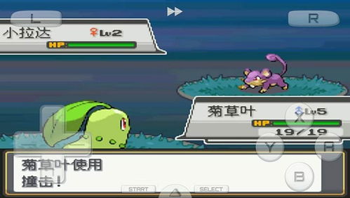 口袋妖怪手机单机版及镜子官方下载手机,数据解读说明-视频版_v8.566