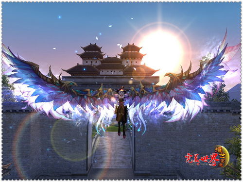 购买会员激活码和征途2单机版 免费,数据分析说明_桌面版_v8.319