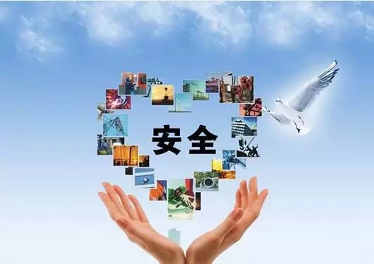 网络安全顾问眼中的安全软件，星际2有单机版吗或官方下载团团影院，创造性方案解析_BT1_v10.139深度分析