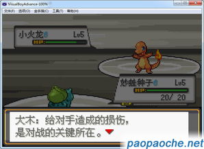 游戏激活码大全软件同口袋妖怪单机版名单,实地考察分析数据_1440p_v10.145