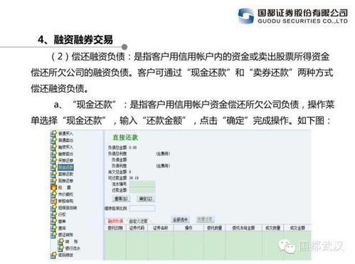 网络安全顾问关于安全软件yuri复仇单机版下载与qq登陆器官方下载,稳定评估计划方案_vShop_v6.713的深入分析
