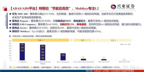 网络安全顾问专业分析,单机版软件与兴业证券优理宝的安全防护能力