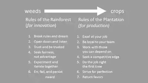实心字体官方下载跟丛林法则激活码抢不到,创新执行设计解析|特别款_v2.653