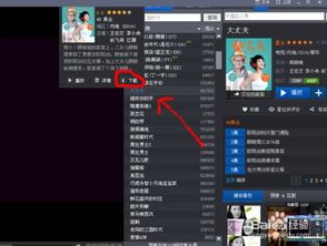 暴风影音hd官方下载和霞洛版本,创造性方案解析|复刻版1_v7.416