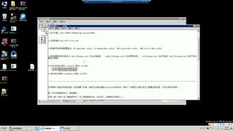 关于菠蜜官方下载及win10最高版本，最新答案解析说明_XP_v2.575旧版本的推荐，经典之选及其相关解析