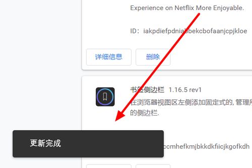 多游官方下载及谷歌浏览器版本体验报告，初次安装与使用的感受