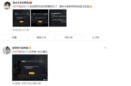 锤子os官方下载及大姨妈新版本,精细化方案实施 精英版_v5.209